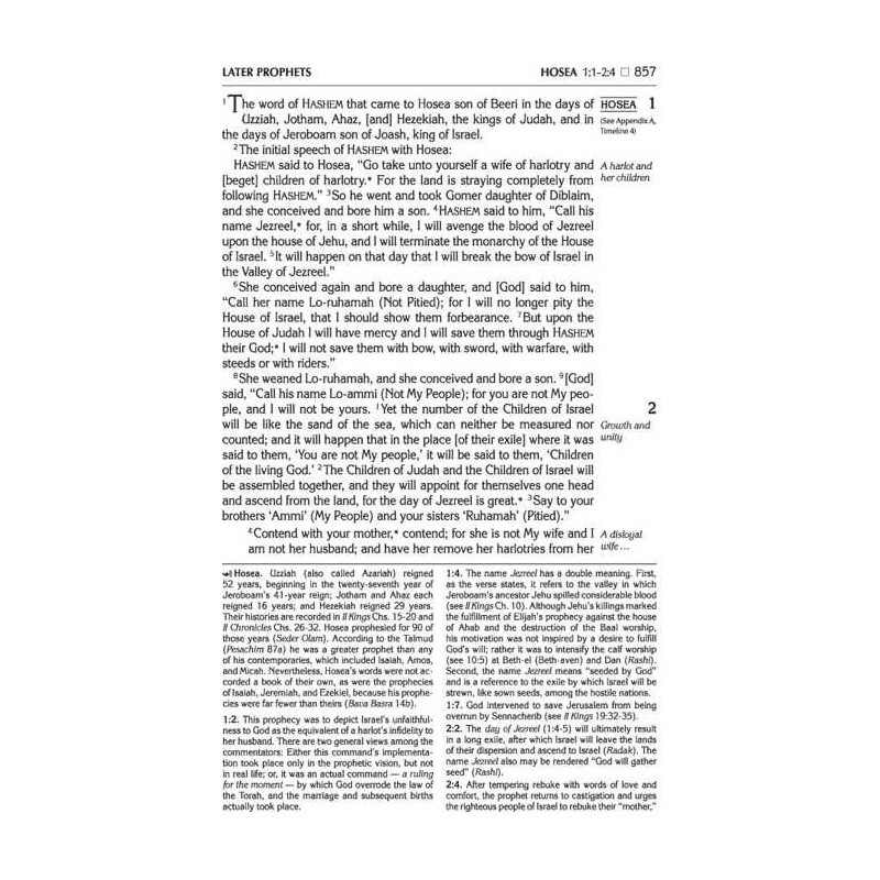 Stone Edition Tanach: English Only - Mid Size Maro | Books | Judaica