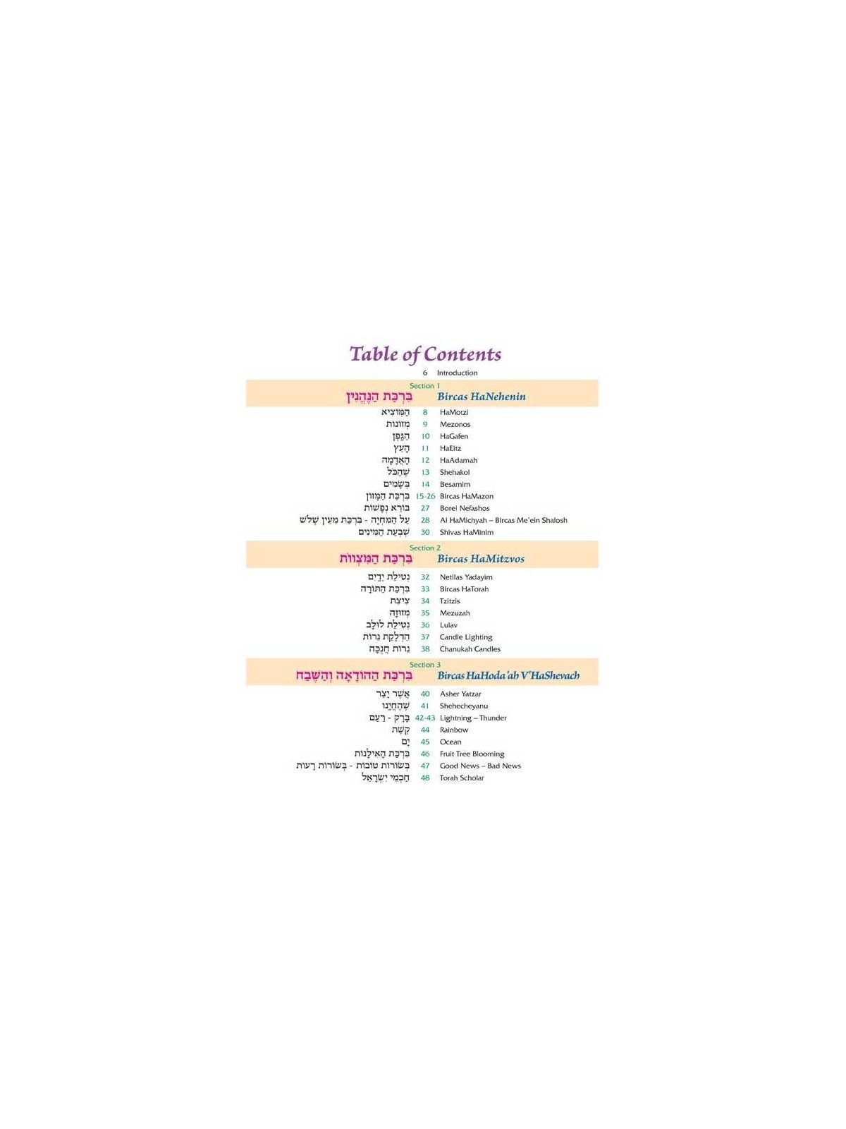 The Artscroll Children's Book of Berachos | Books | Judaica