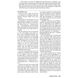 The Rav Nebenzahl Haggadah - Hardcover | Passover | Judaica