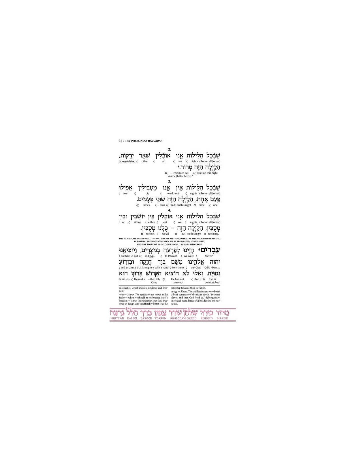 Schottenstein Ed Interlinear Haggadah - Paperback | Passover | Judaica