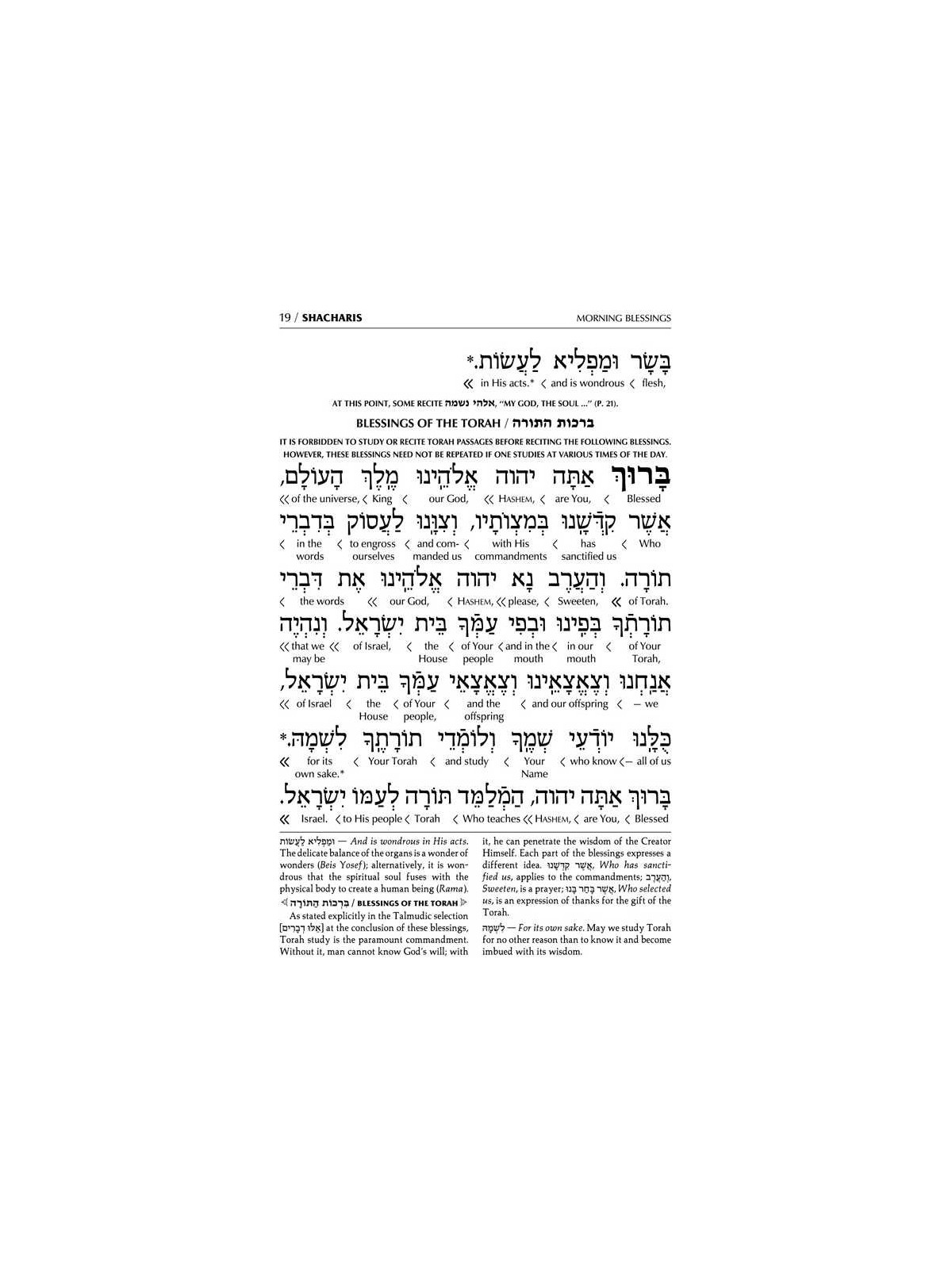 Interlinear Weekday Siddur: Full Size - Ashkenaz | Books | Judaica