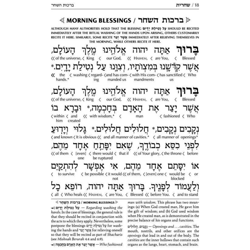 Interlinear Weekday Siddur: Full Size - Ashkenaz | Books | Judaica