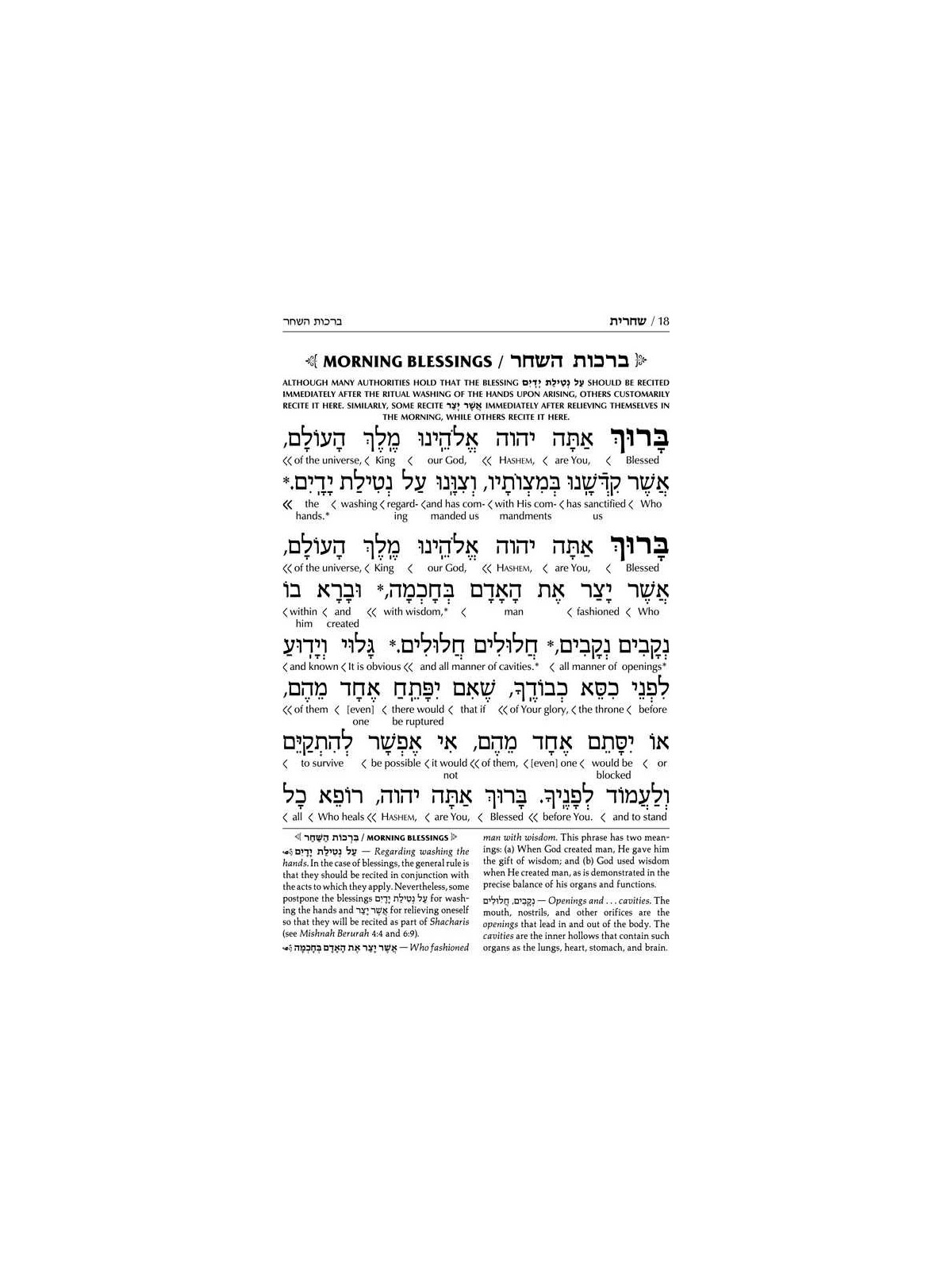 Interlinear Weekday Siddur: Full Size - Ashkenaz | Books | Judaica