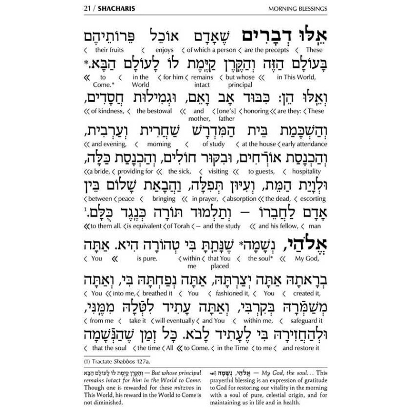 Interlinear Weekday Siddur: Full Size - Ashkenaz | Books | Judaica