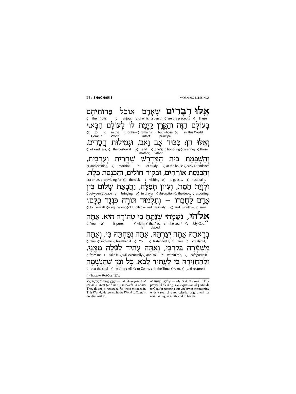 Interlinear Weekday Siddur: Full Size - Ashkenaz | Books | Judaica
