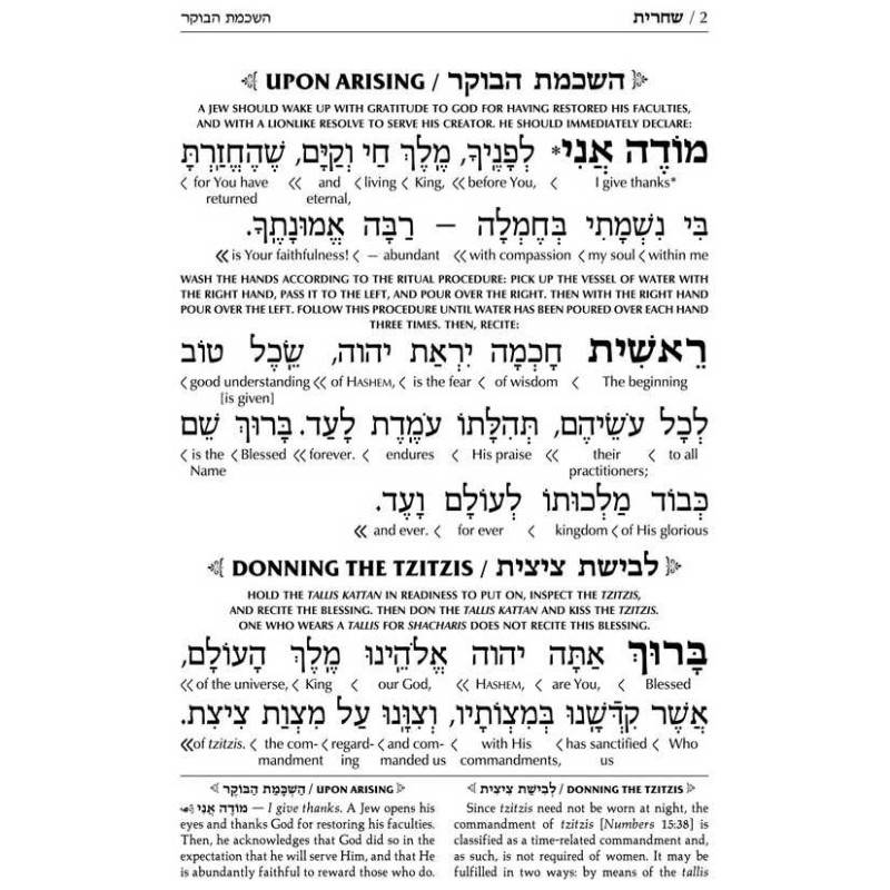 Interlinear Weekday Siddur: Full Size - Ashkenaz | Books | Judaica