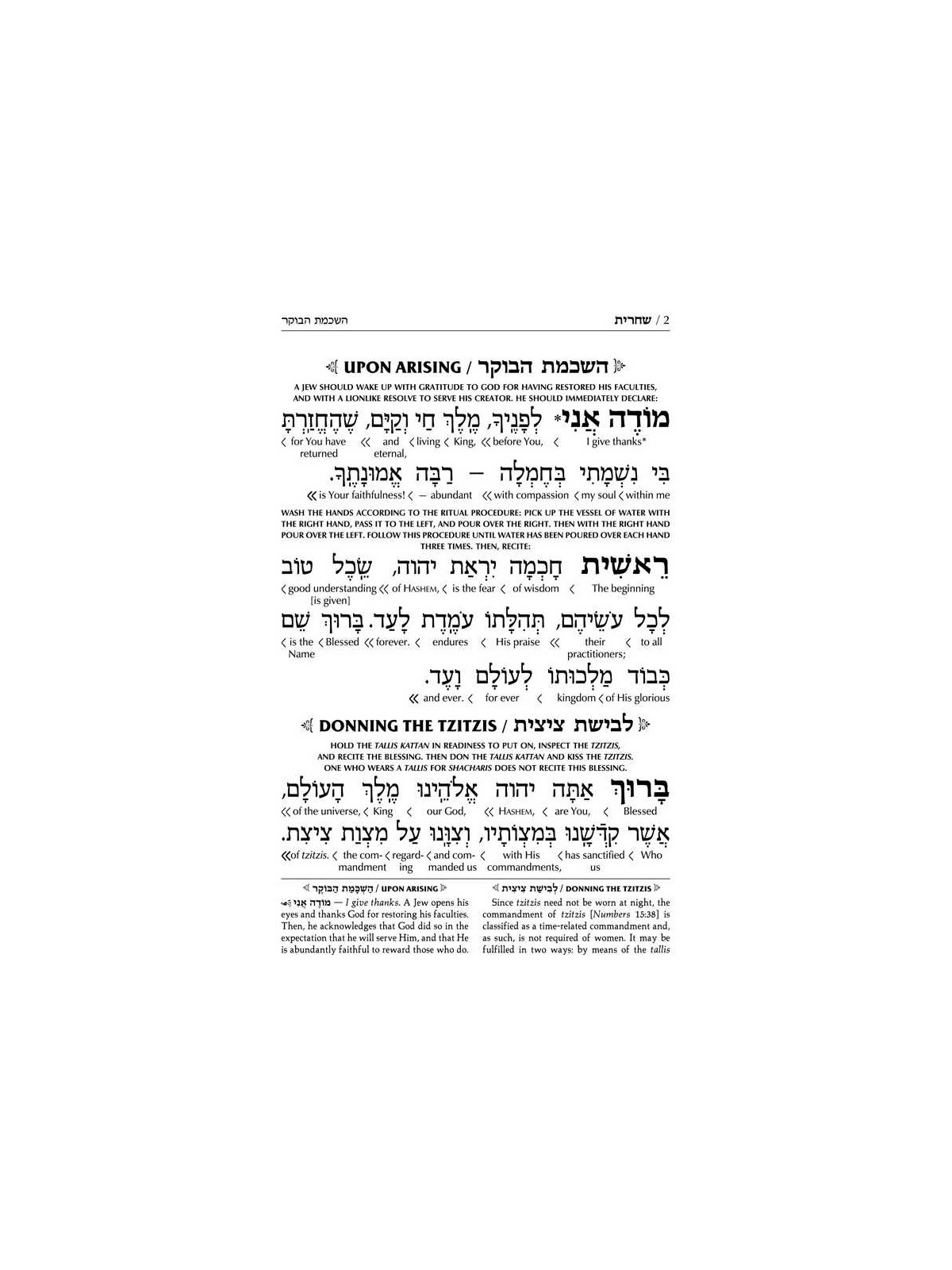 Interlinear Weekday Siddur: Full Size - Ashkenaz | Books | Judaica