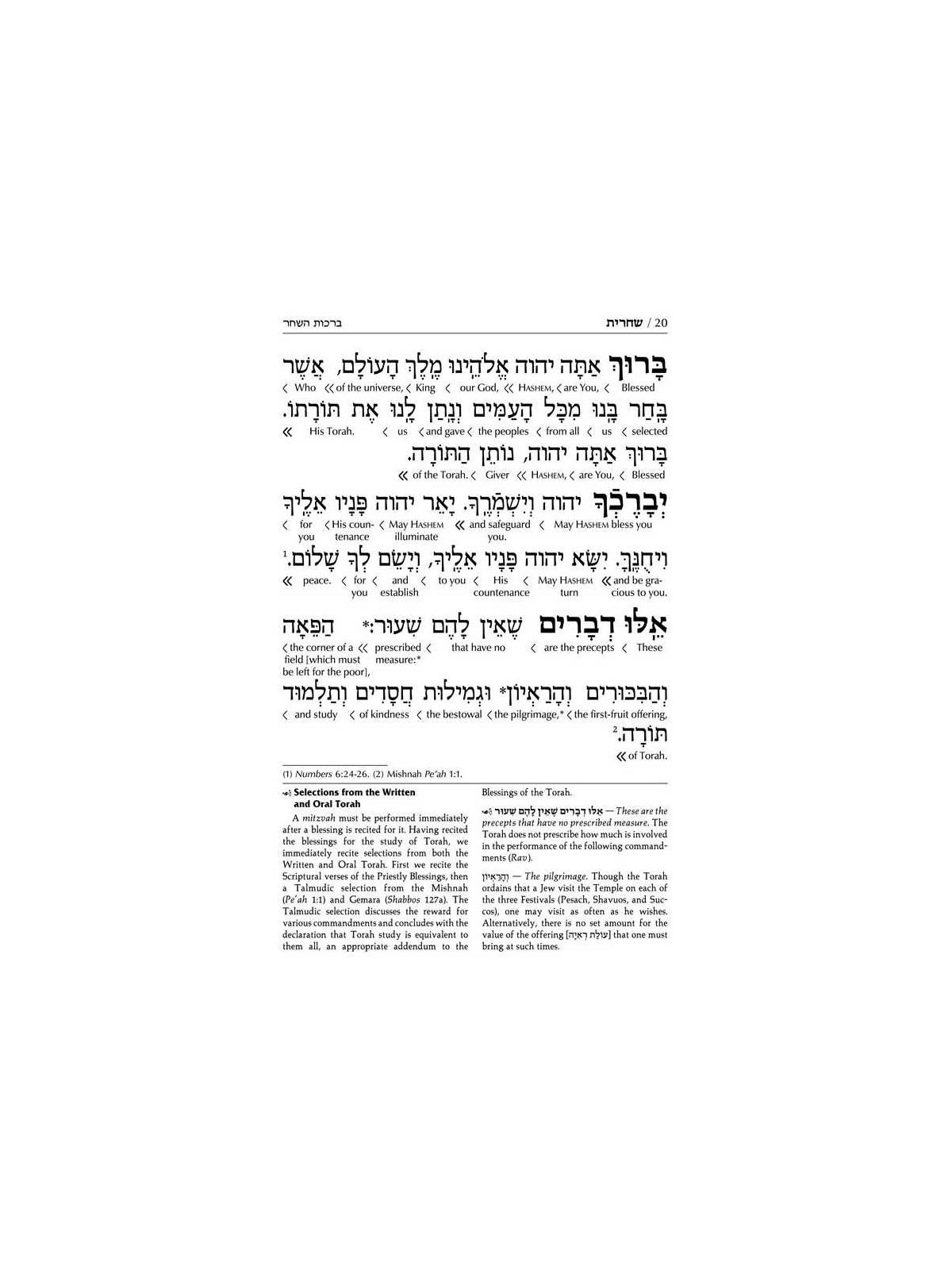 Interlinear Weekday Siddur: Full Size - Ashkenaz | Books | Judaica