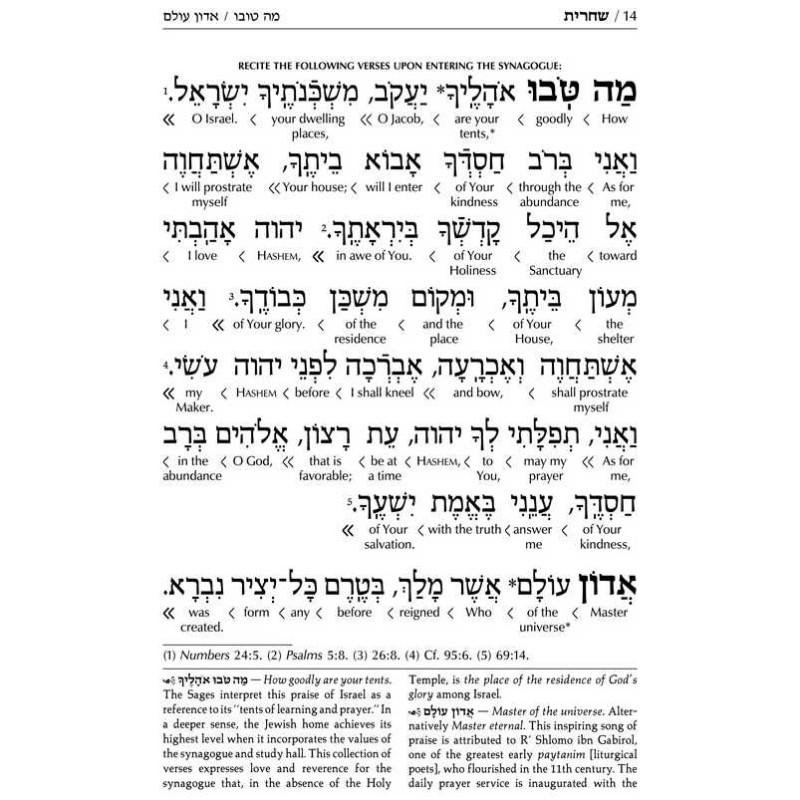 Interlinear Weekday Siddur: Full Size - Ashkenaz | Books | Judaica