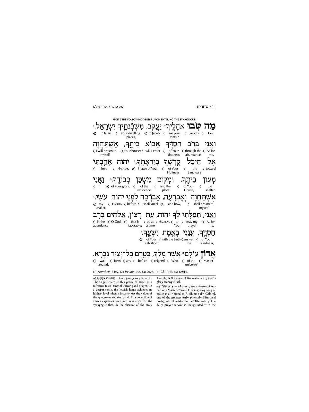 Interlinear Weekday Siddur: Full Size - Ashkenaz | Books | Judaica