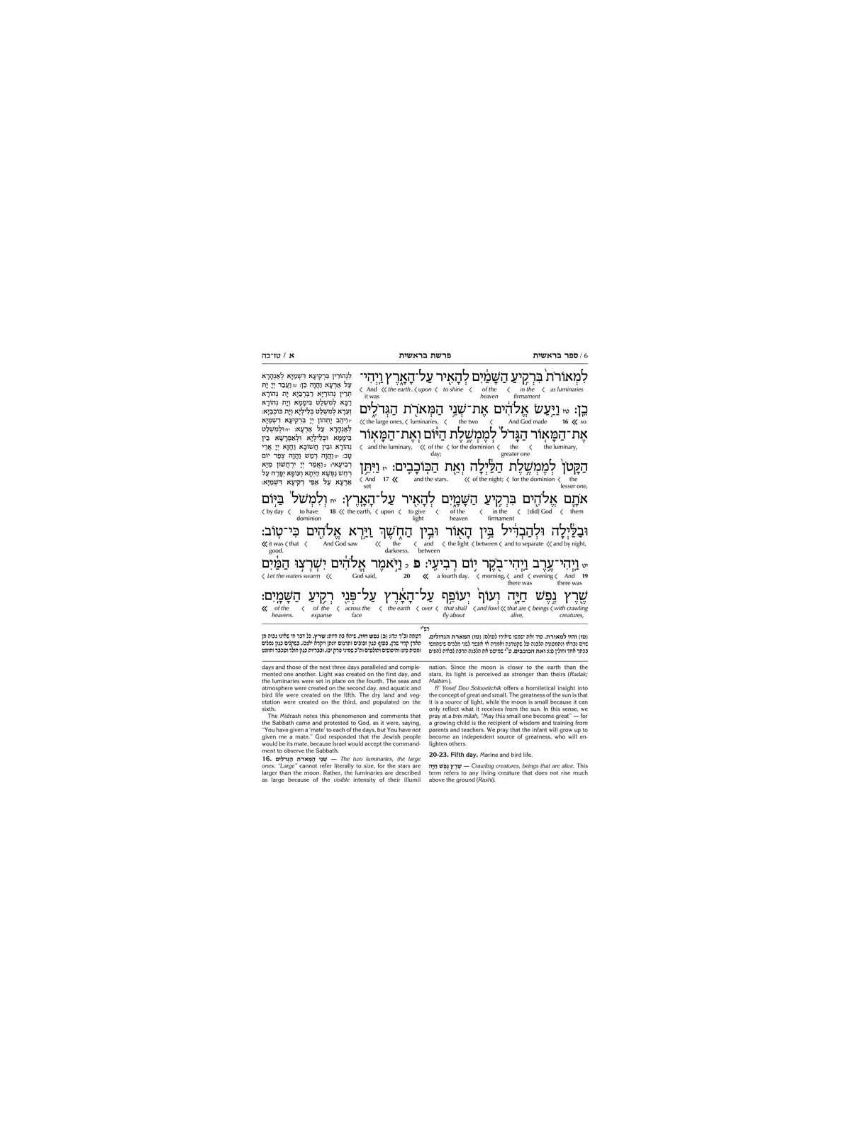 Interlinear Chumash Vol 1: Bereishis / Genesis | Books | Judaica