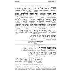 Interlinear Selichos: Full Size Nusach Lita Ashken | Books | Judaica