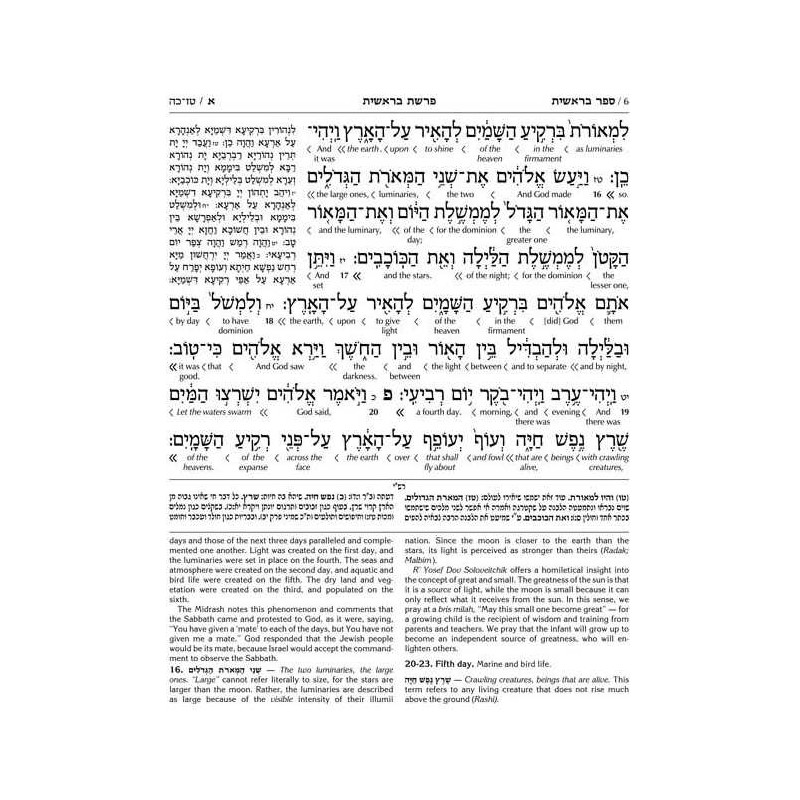 Schottenstein Ed Interlinear Chumash Complete in 1 | Books | Judaica