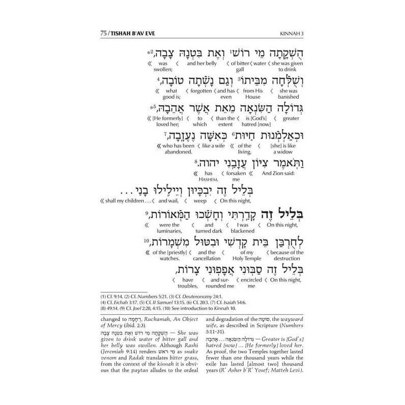 Interlinear Kinnos / Tishah B'av Siddur - Sefard | Books | Judaica