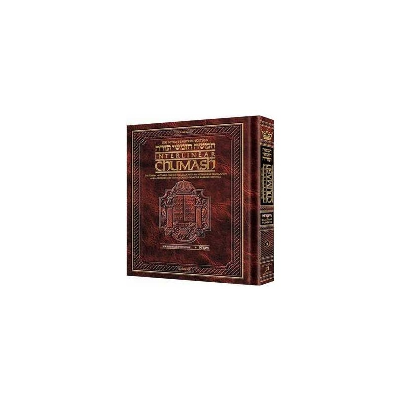 Schottenstein Ed Interlinear Chumash Vol 3: Vayikr | Books | Judaica