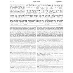 Schottenstein Ed Interlinear Chumash Vol 3: Vayikr | Books | Judaica
