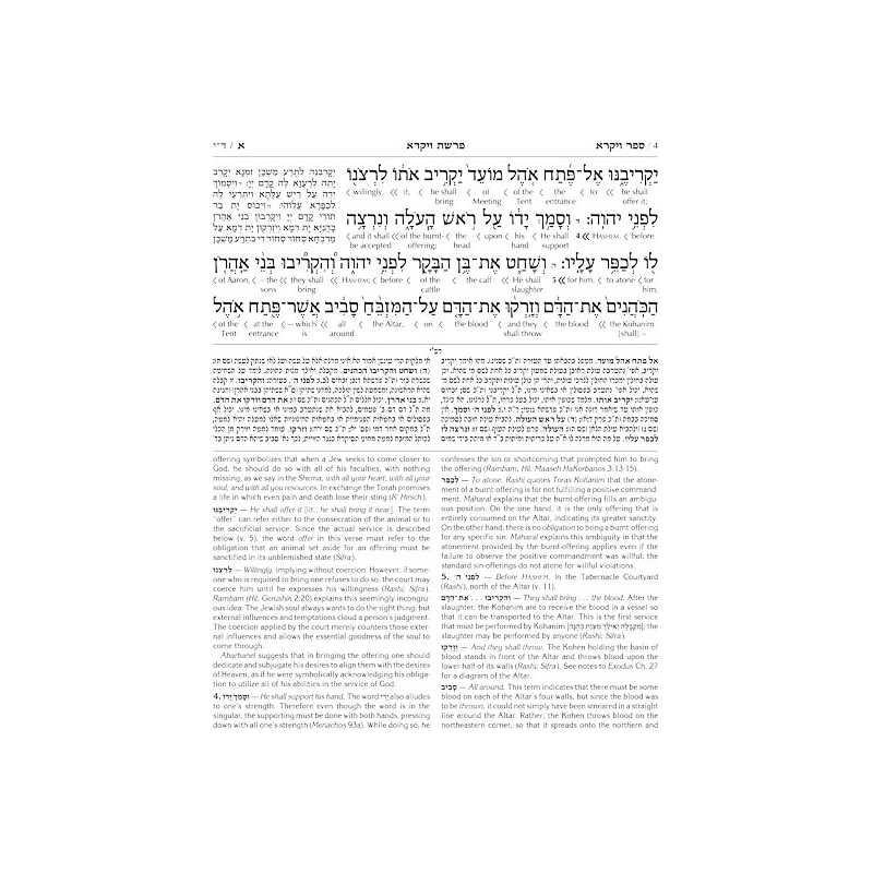 Schottenstein Ed Interlinear Chumash Vol 3: Vayikr | Books | Judaica