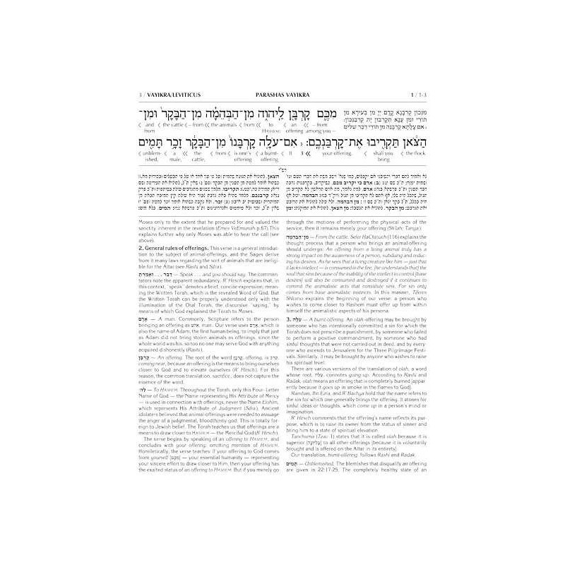 Schottenstein Ed Interlinear Chumash Vol 3: Vayikr | Books | Judaica