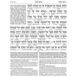 Schottenstein Ed Interlinear Chumash Vol 3: Vayikr | Books | Judaica