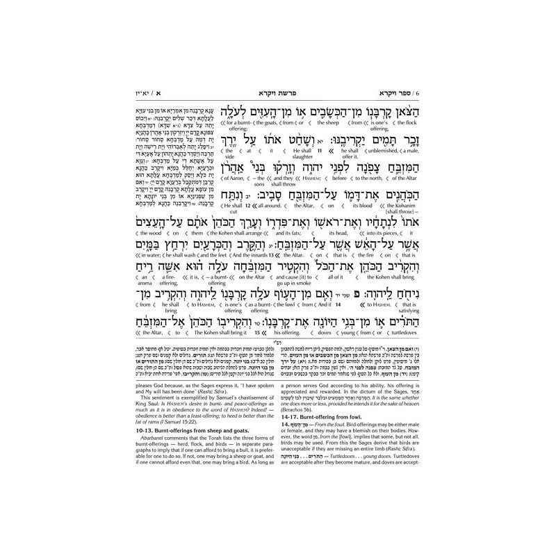 Schottenstein Ed Interlinear Chumash Vol 3: Vayikr | Books | Judaica