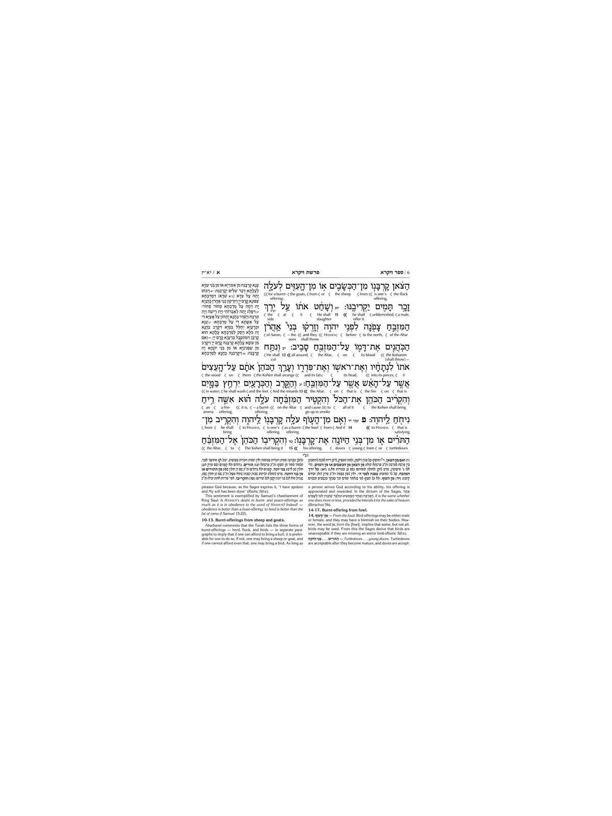 Schottenstein Ed Interlinear Chumash Vol 3: Vayikr | Books | Judaica