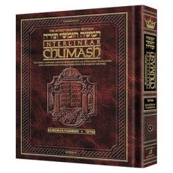 Schottenstein Ed Interlinear Chumash Vol 4: Bamidb | Books | Judaica