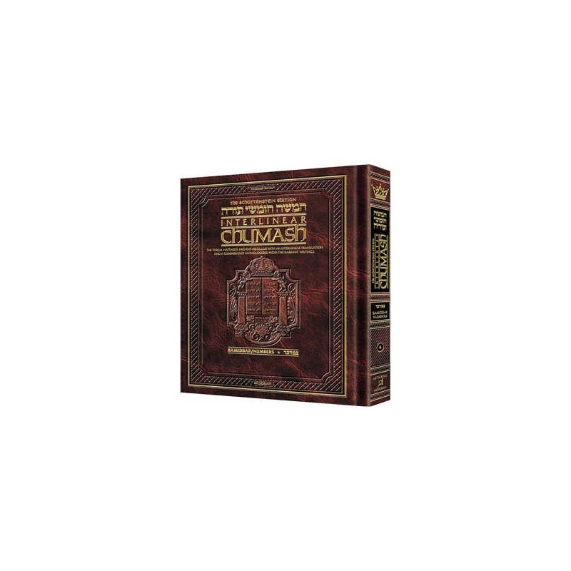 Schottenstein Ed Interlinear Chumash Vol 4: Bamidb | Books | Judaica