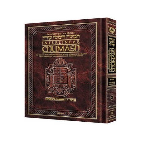 Schottenstein Ed Interlinear Chumash Vol 4: Bamidb | Books | Judaica