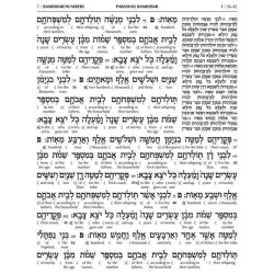 Schottenstein Ed Interlinear Chumash Vol 4: Bamidb | Books | Judaica