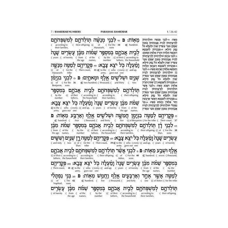 Schottenstein Ed Interlinear Chumash Vol 4: Bamidb | Books | Judaica