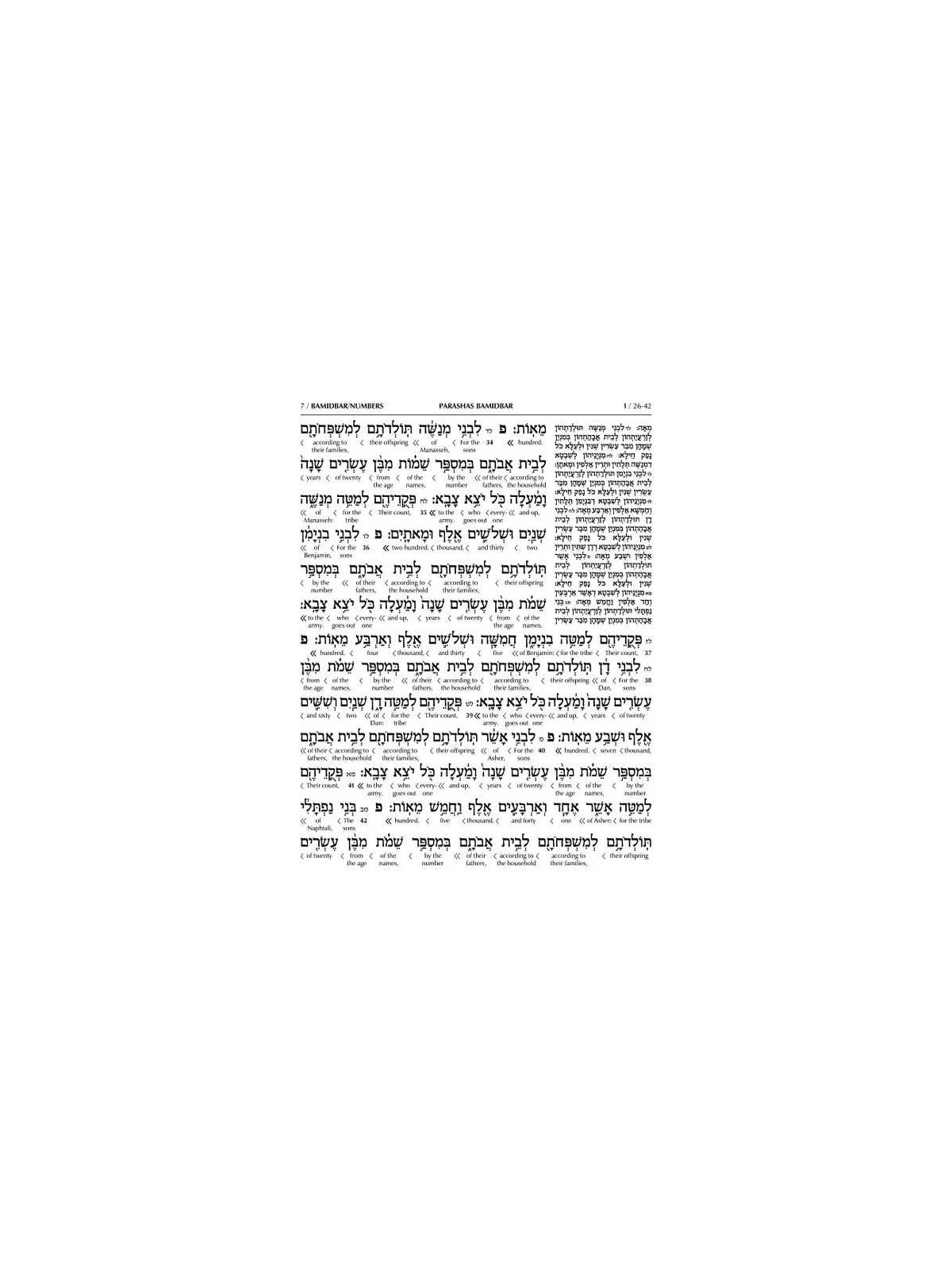 Schottenstein Ed Interlinear Chumash Vol 4: Bamidb | Books | Judaica