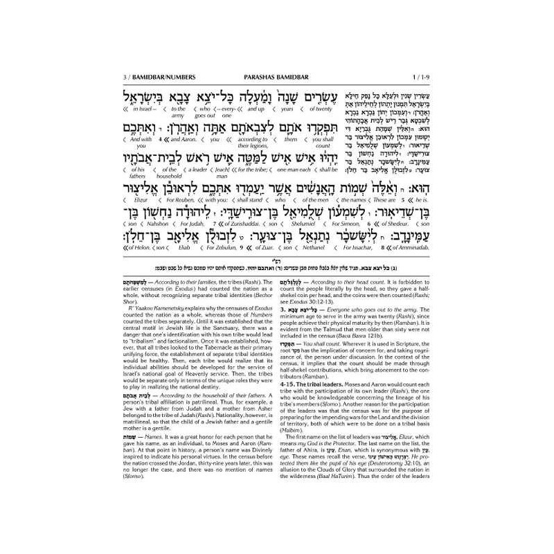 Schottenstein Ed Interlinear Chumash Vol 4: Bamidb | Books | Judaica