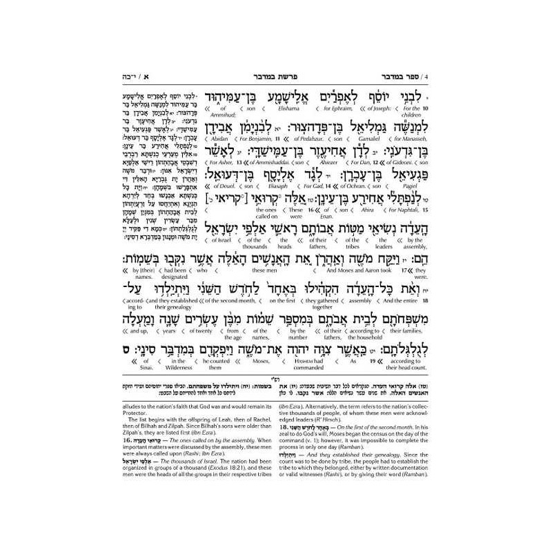 Schottenstein Ed Interlinear Chumash Vol 4: Bamidb | Books | Judaica