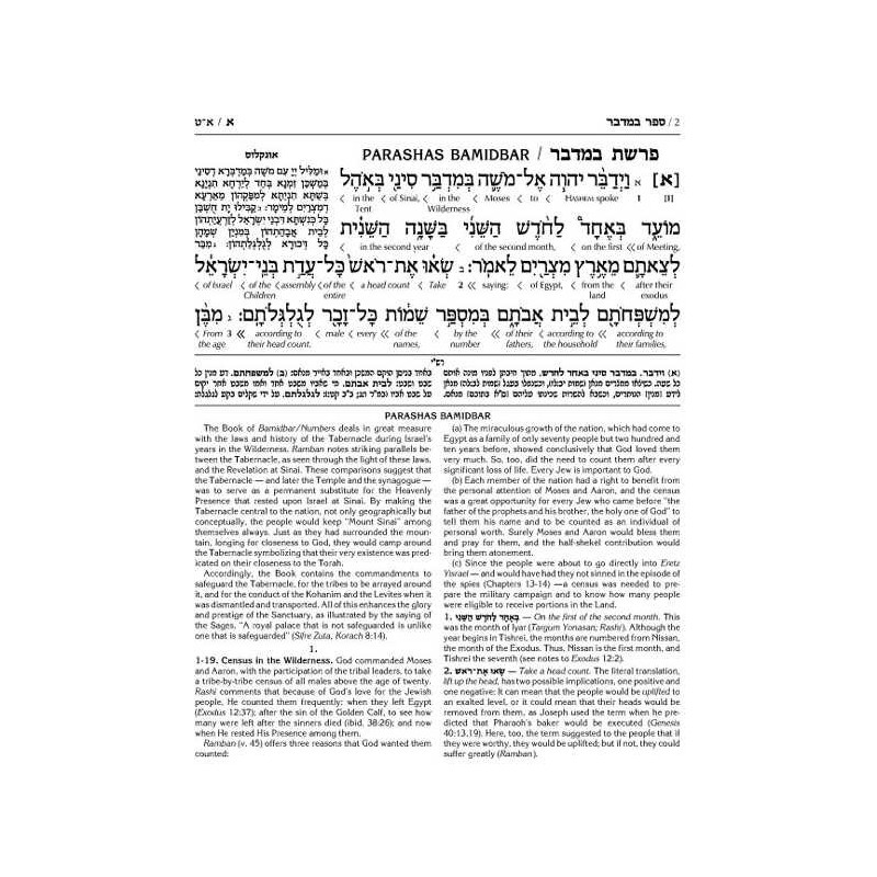 Schottenstein Ed Interlinear Chumash Vol 4: Bamidb | Books | Judaica