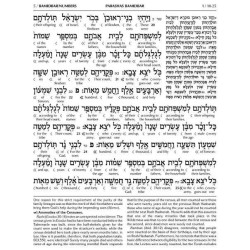Schottenstein Ed Interlinear Chumash Vol 4: Bamidb | Books | Judaica