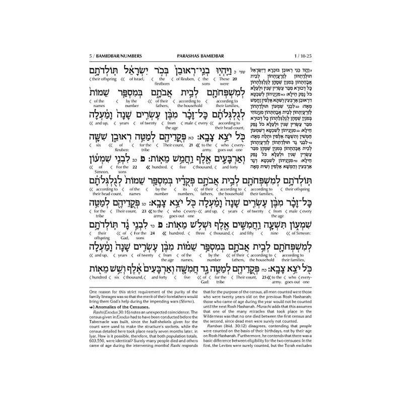 Schottenstein Ed Interlinear Chumash Vol 4: Bamidb | Books | Judaica