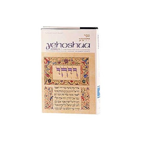 Joshua - Hardcover | Books | Judaica