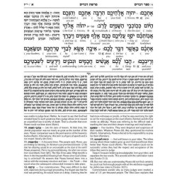 Schottenstein Ed Interlinear Chumash Vol 5: Devari | Books | Judaica