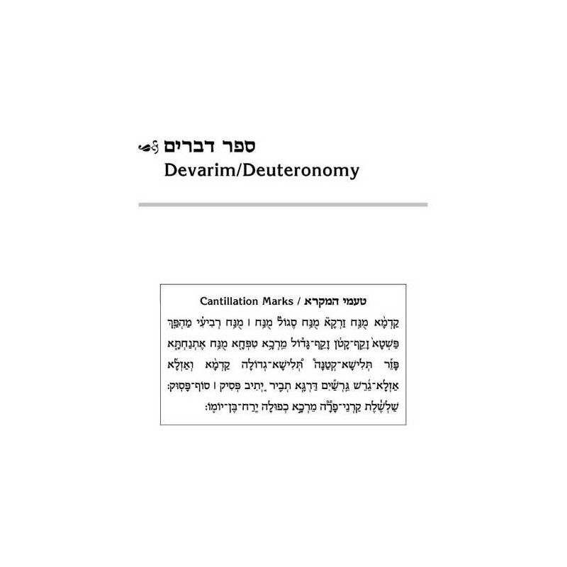 Schottenstein Ed Interlinear Chumash Vol 5: Devari | Books | Judaica