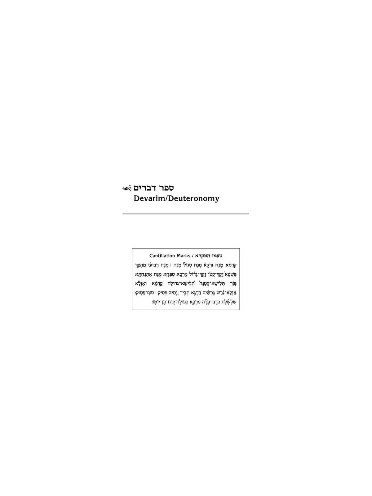 Schottenstein Ed Interlinear Chumash Vol 5: Devari | Books | Judaica