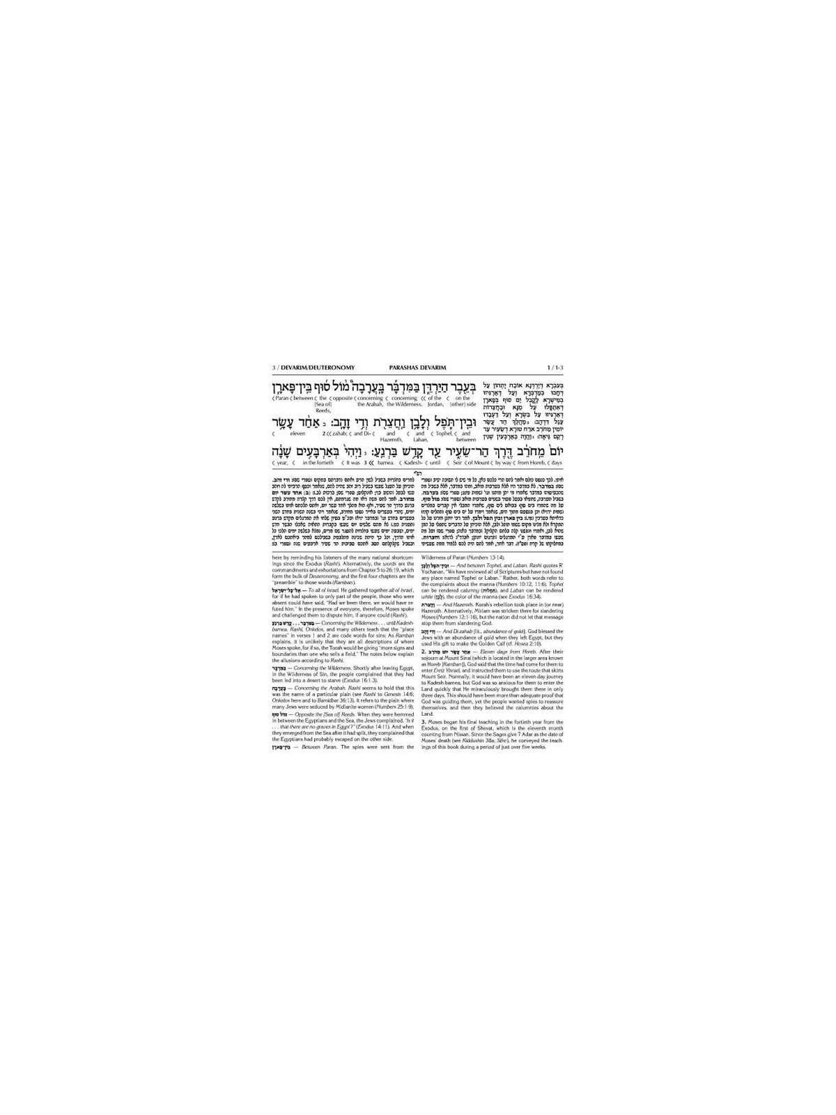 Schottenstein Ed Interlinear Chumash Vol 5: Devari | Books | Judaica