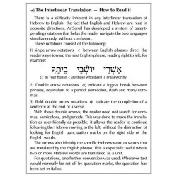 Interlinear Sabbath & Festivals Siddur Full Size A | Books | Judaica