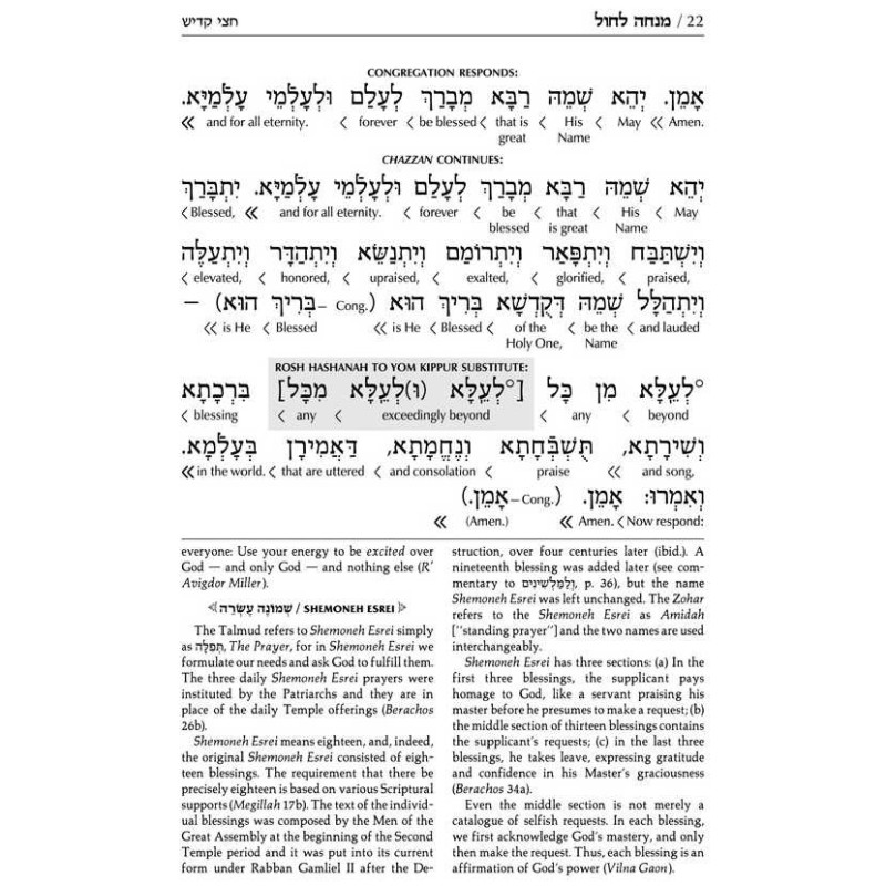 Interlinear Sabbath & Festivals Siddur Full Size A | Books | Judaica
