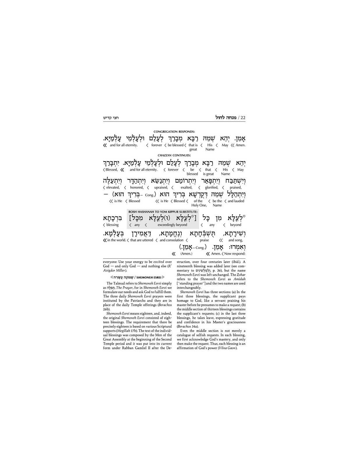 Interlinear Sabbath & Festivals Siddur Full Size A | Books | Judaica