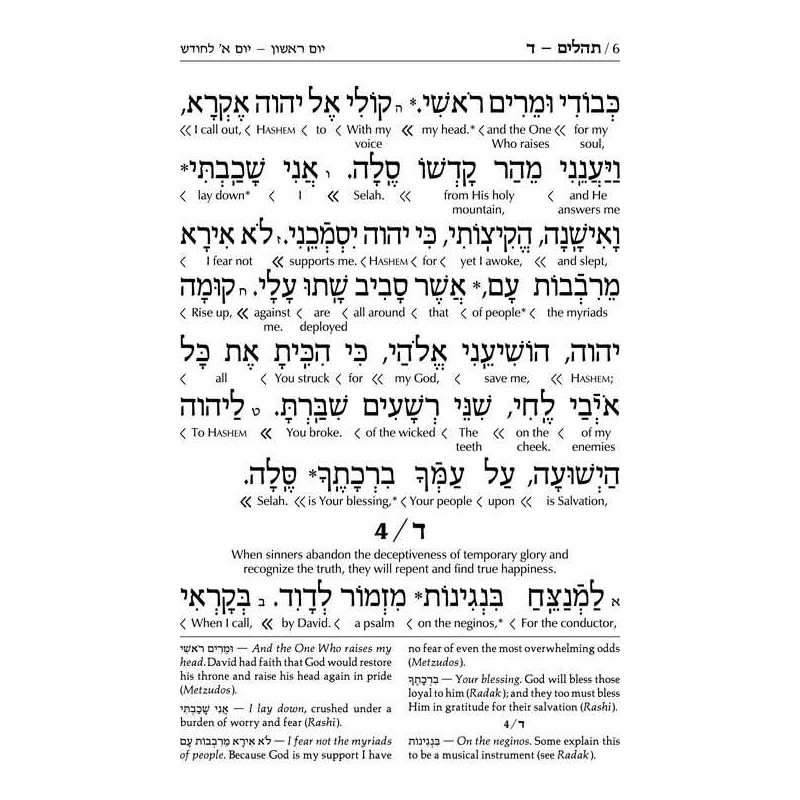 Interlinear Tehillim / Psalms Pocket Size, Hard Co | Books | Judaica