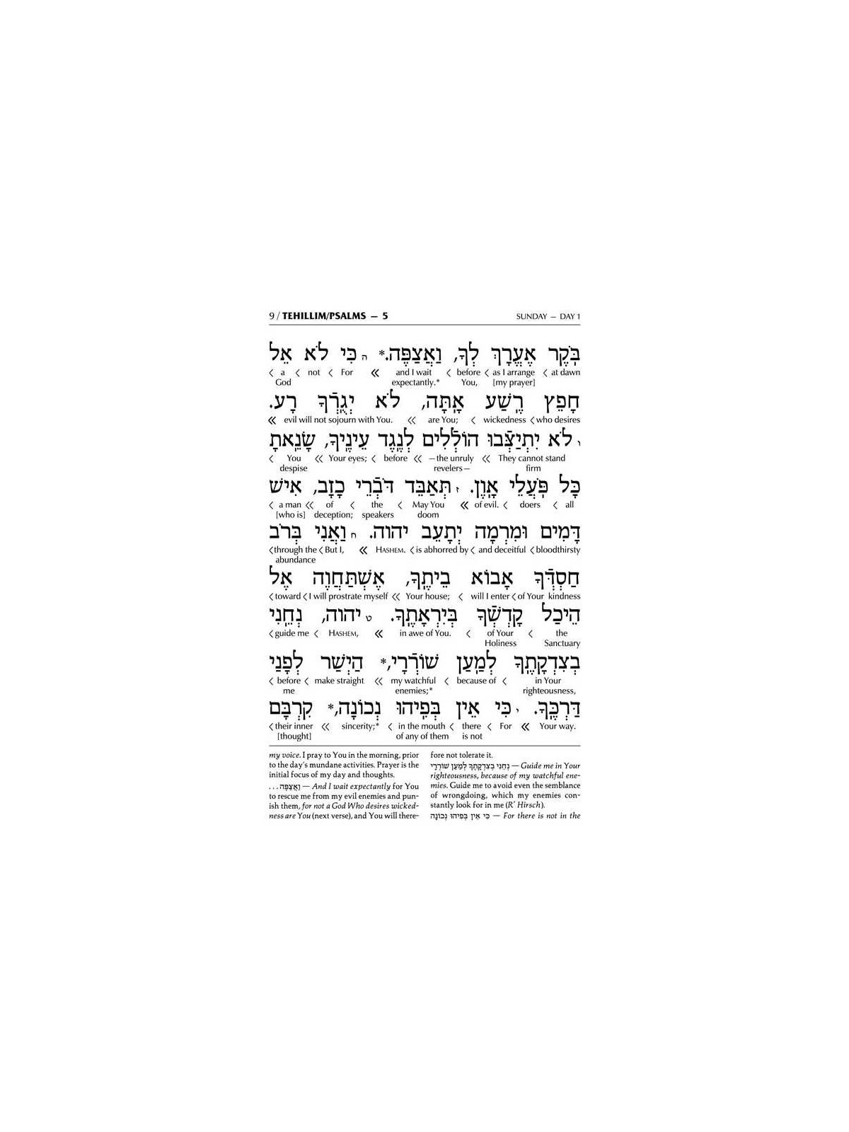 Interlinear Tehillim / Psalms Pocket Size, Hard Co | Books | Judaica