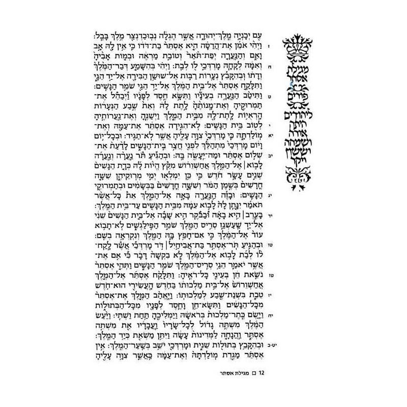 The Family Megillah - Paperback | Purim | Judaica