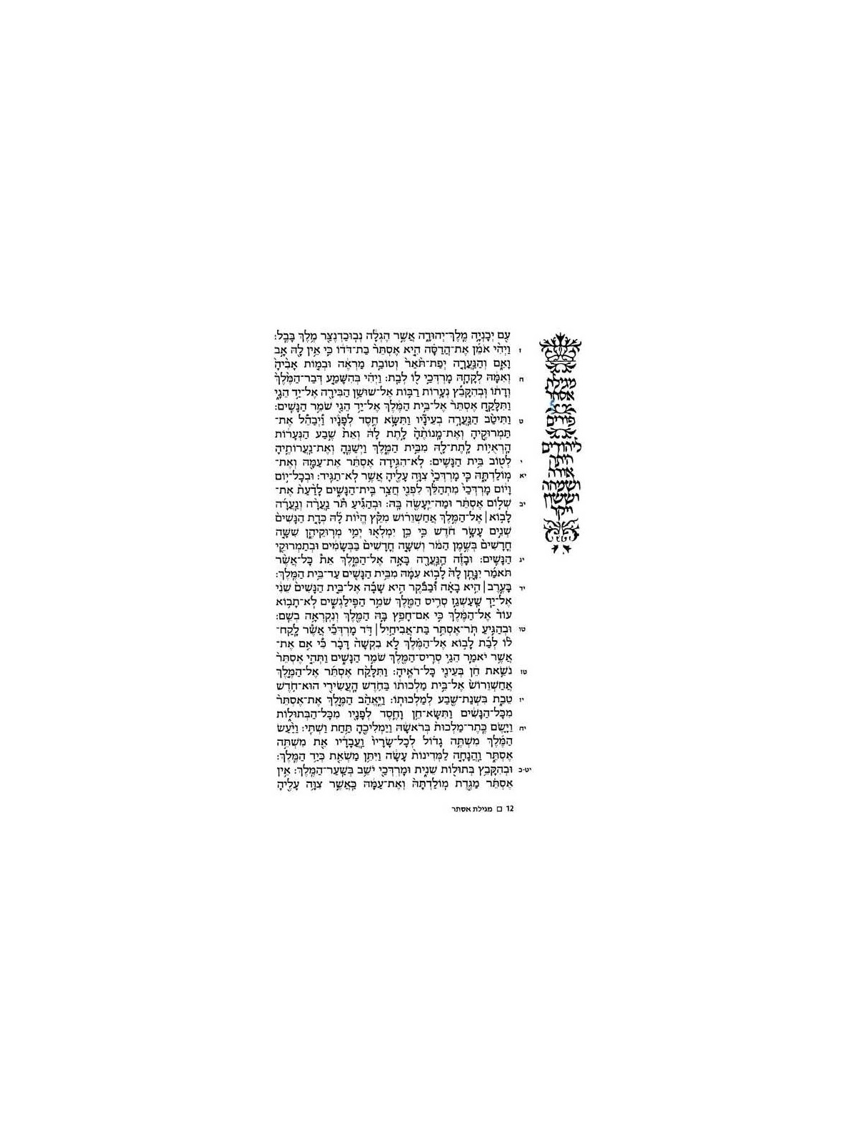 The Family Megillah - Paperback | Purim | Judaica