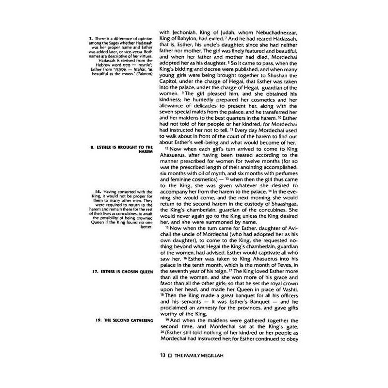 The Family Megillah - Paperback | Purim | Judaica