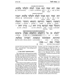 Interlinear Sabbath & Festivals Siddur Pocket Size | Books | Judaica